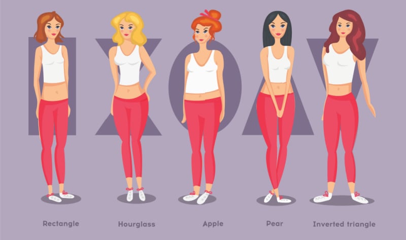 Different Body Types Different Body Types